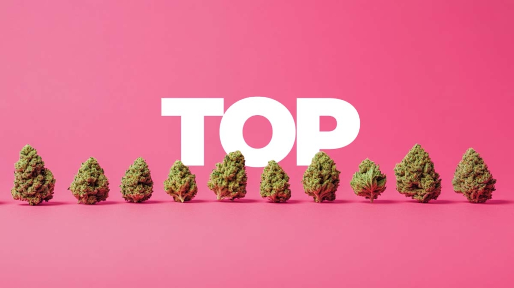 top-10-cannabissorten-hanf-weed-liste-alle-groesse-sortiert-foto-beliebteste-kunden